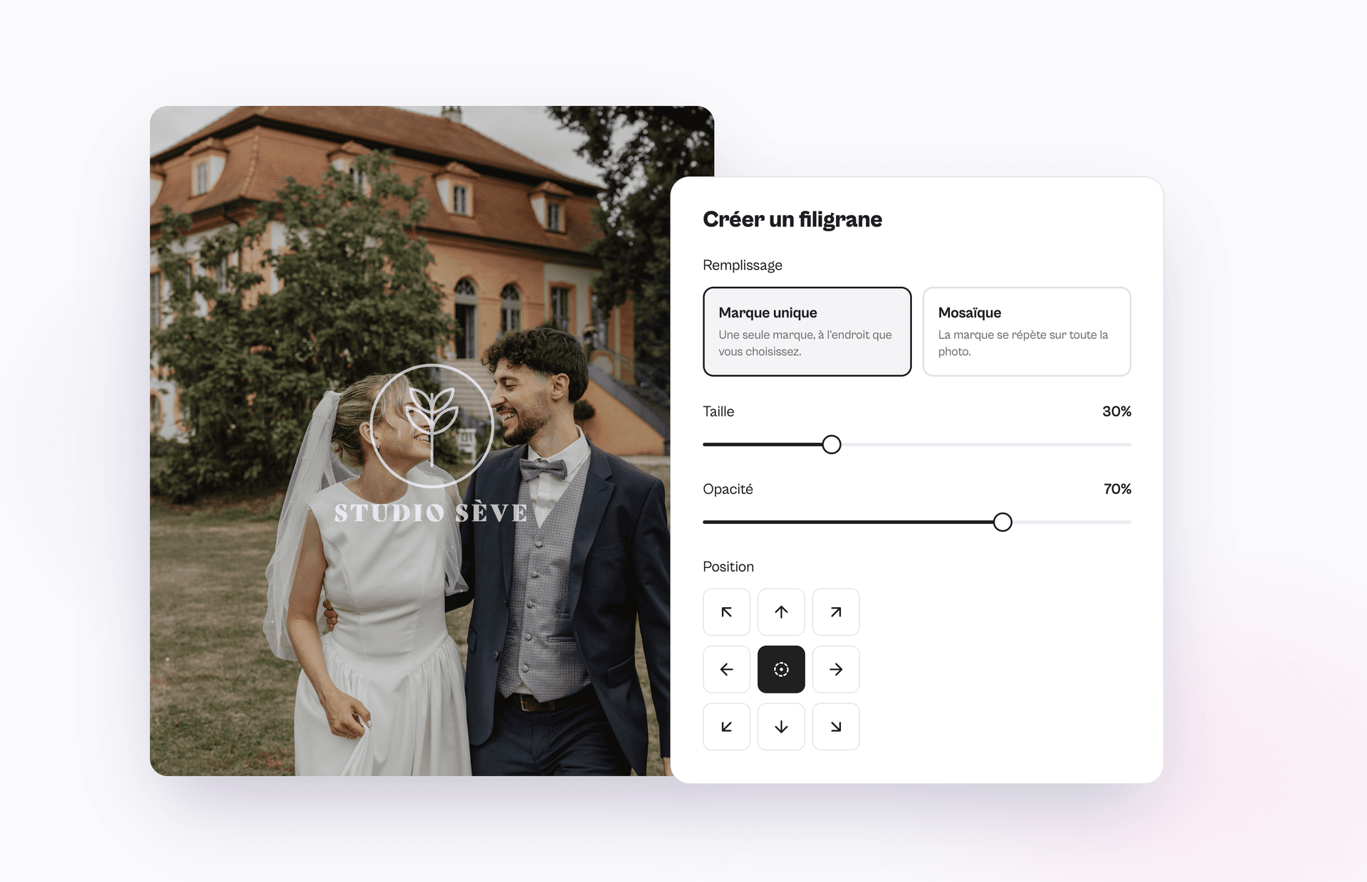 Watermarks in a client gallery: present photographs before purchase
